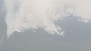 Penampakan Terkini Karhutla di Kalimantan dari Udara