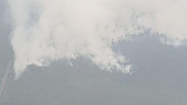 Penampakan Terkini Karhutla di Kalimantan dari Udara