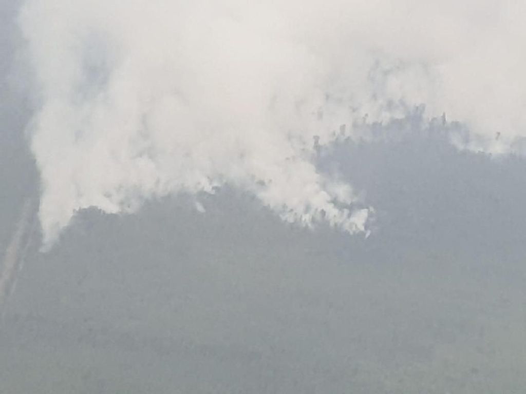 Penampakan Terkini Karhutla di Kalimantan dari Udara