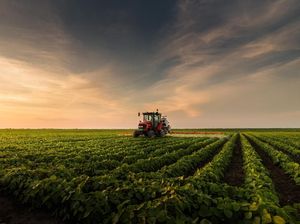 Ini Towing Tractor, Karya Anak Bangsa yang Ramah Lingkungan