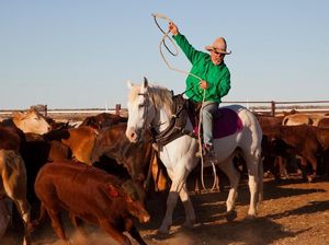 10 Peternakan Terbesar di Dunia Ini Hasilkan Daging hingga Susu Segar