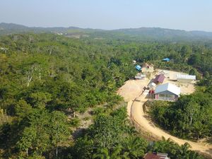 Gerilya Pemburu Tanah di Ibu Kota Baru