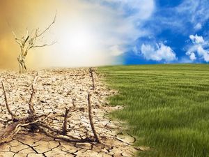 Perubahan Iklim Membuat 5 Makanan Enak Ini Terancam Punah