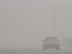 Siswa SMA SMK di Riau Mulai Belajar Daring Imbas Kabut Asap Karhutla