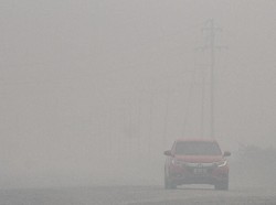 Gubernur Riau Didesak Tetapkan Status Darurat Asap