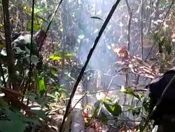 Hutan Lindung Gunung Klabat Terbakar Sekitar 45 Hektare