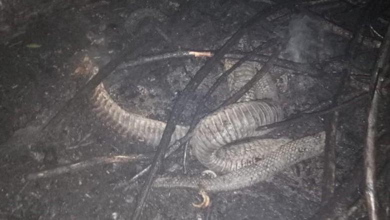 Hari Ke-10 Pemadaman Kebakaran Lahan Gambut di Riau