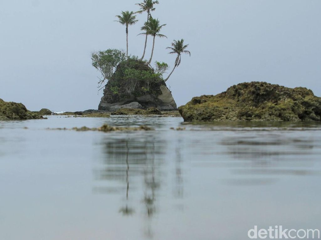 Pulau SpongeBob di Aceh Akan Dikelola Jadi Destinasi Pariwisata Andalan