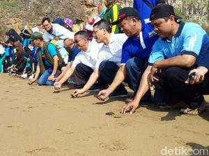 World Cleanup Day di Pacitan, Bersih-bersih Kali dan Pelepasan Tukik