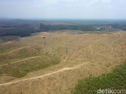 Tanoto Siap Kembalikan Lahan untuk Ibu Kota RI, Dapat Ganti Rugi?