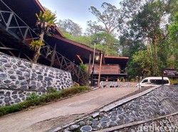 Sempat Berkilah, Pelaku Pelecehan Seksual di Gunung Halimun Minta Maaf