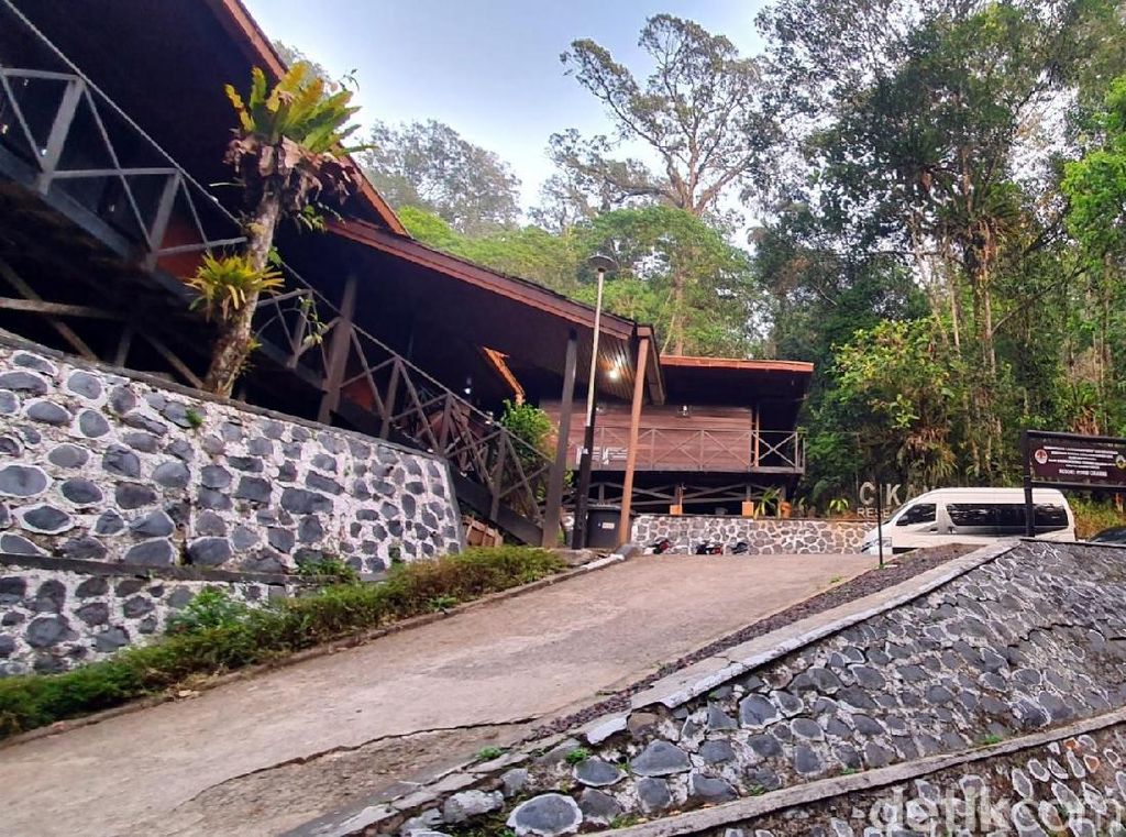 Sempat Berkilah, Pelaku Pelecehan Seksual di Gunung Halimun Minta Maaf Sempat Berkilah, Pelaku Pelecehan Seksual di Gunung Halimun Minta Maaf