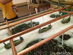 Ini Beda Teknik Krom Celup dengan Semprot