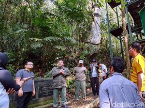 Ini Daftar 29 Wisata Alam di Indonesia yang Akan Dibuka Kembali Ini Daftar 29 Wisata Alam di Indonesia yang Akan Dibuka Kembali