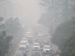 Data AirVisual Pagi Ini: Udara Jambi-Palangkaraya Berbahaya