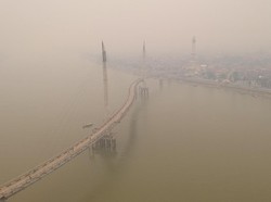 RUU KUHP Bisa Jerat Korporasi Pembakar Hutan