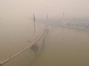 RUU KUHP Bisa Jerat Korporasi Pembakar Hutan RUU KUHP Bisa Jerat Korporasi Pembakar Hutan