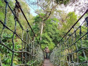 Lebak Longgarkan Perbatasan, Pariwisata Masih Tutup