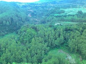 Foto: Tebing Keraton yang Menyegarkan Mata