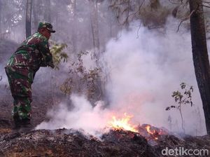 Masuki Hari ke-6, Hutan di Lereng Gunung Slamet Masih Terbakar Masuki Hari ke-6, Hutan di Lereng Gunung Slamet Masih Terbakar