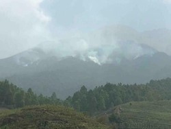 Ada Kebakaran, Semua Jalur Pendakian Gunung Sumbing Ditutup
