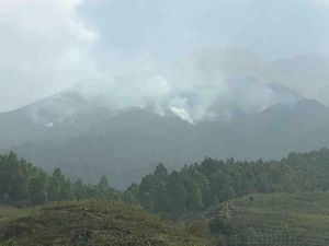 Ada Kebakaran, Semua Jalur Pendakian Gunung Sumbing Ditutup Ada Kebakaran, Semua Jalur Pendakian Gunung Sumbing Ditutup