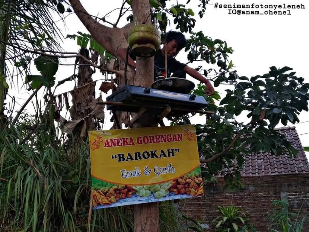 Aksi Nyeleneh Tukang Gorengan Jualan di Atas Pohon Curi Perhatian Netizen Aksi Nyeleneh Tukang Gorengan Jualan di Atas Pohon Curi Perhatian Netizen