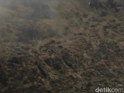 Lokasi Pesawat Twin Otter yang Hilang di Papua Ditemukan