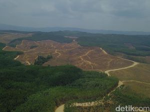 Bappenas Pastikan Pembangunan Ibu Kota Baru Tetap Jalan