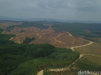 Menelisik Episentrum Calon Ibu Kota Baru