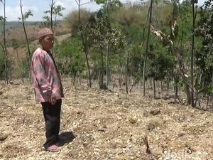 Ini Kata Wagub Emil Soal Pemblokiran Pupuk Subsidi di Tulungagung