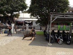 Warga Sempat Duel Saat Usir Babi yang Masuk Masjid di Serang