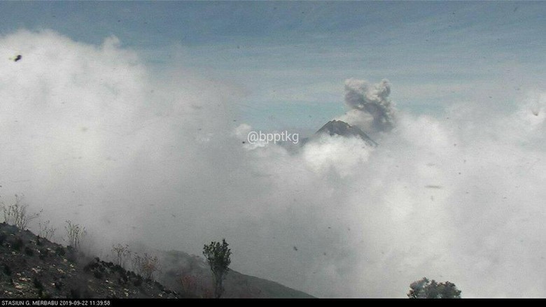 Gunung Merapi Embuskan Awan Panas Letusan Setinggi 800 M