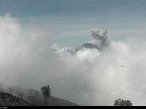 Gunung Merapi Embuskan Awan Panas Letusan Setinggi 800 M