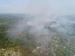 Karhutla di Kutai Barat Kaltim Menjalar hingga Cagar Alam Kersik Luwai