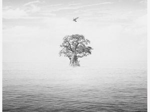 BIRD Persembahan EXO untuk Fans Dirilis November 2019