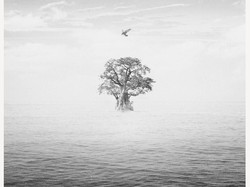 BIRD Persembahan EXO untuk Fans Dirilis November 2019