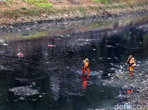 Basuki Sedih Normalisasi Kali Ciliwung Berhenti Sejak 2018