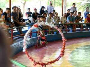 Pulau Topeng Monyet Vietnam Dikritik Aktivis