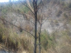 Pemadaman Kebakaran di Jalur Pendakian Gunung Semeru Terkendala Medan