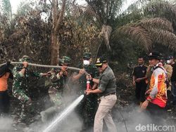 Pemadaman Karhutla di Muba Sumsel Terkendala Akses Sulit