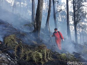 Jalur Pendakian Gunung Arjuno Kembali Ditutup karena Rawan Kebakaran
