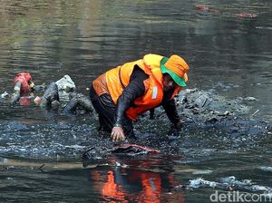 Aksi Pasukan Oranye Nyemplung Sungai untuk Bersihkan Sampah Aksi Pasukan Oranye Nyemplung Sungai untuk Bersihkan Sampah