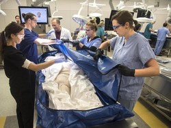 Ahli Forensik Sebut Keju dan Kembang Kol Aromanya Mirip Mayat