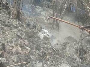 Kebakaran di Gunung Semeru Meluas, Jalur Pendakian Ditutup