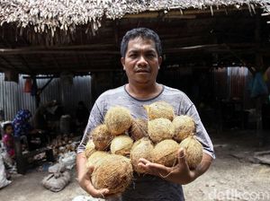 Pensiun Melaut, Rasudin Pilih Buka Usaha Pengolahan Kelapa