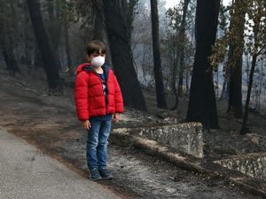 Kabut Asap Selimuti Sebagian Wilayah Sumut Hari Ini, Jarak Pandang Tersisa 1 Km