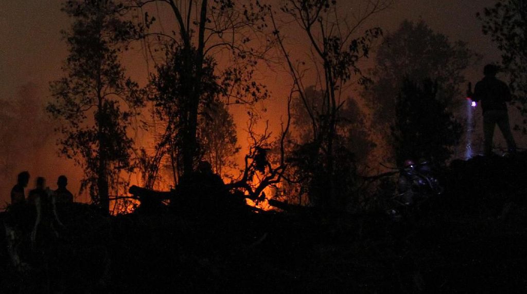Potret Satgas Karhutla Menembus Malam Padamkan Kebakaran di Riau