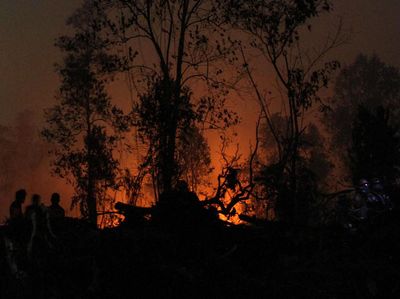 Potret Satgas Karhutla Menembus Malam Padamkan Kebakaran di Riau