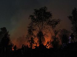 Titik Panas di Sumsel Mencapai Ribuan di Tengah Pandemi Corona
